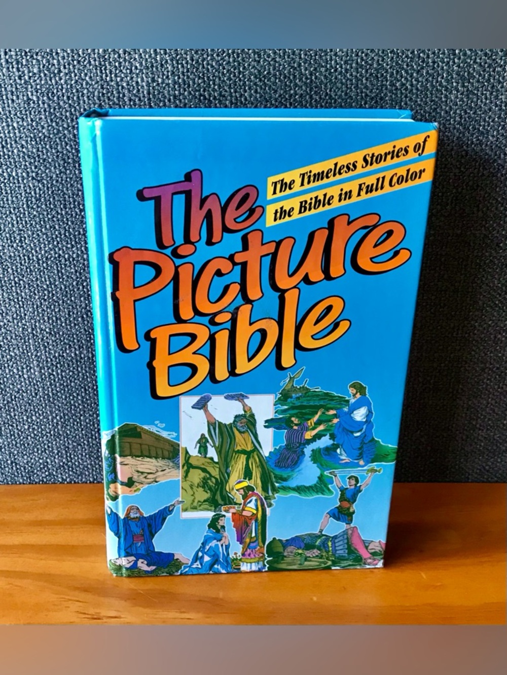 FREE WITH PURCHASE Add To Bundle* 1990 Version The Picture Bible Youth Reading